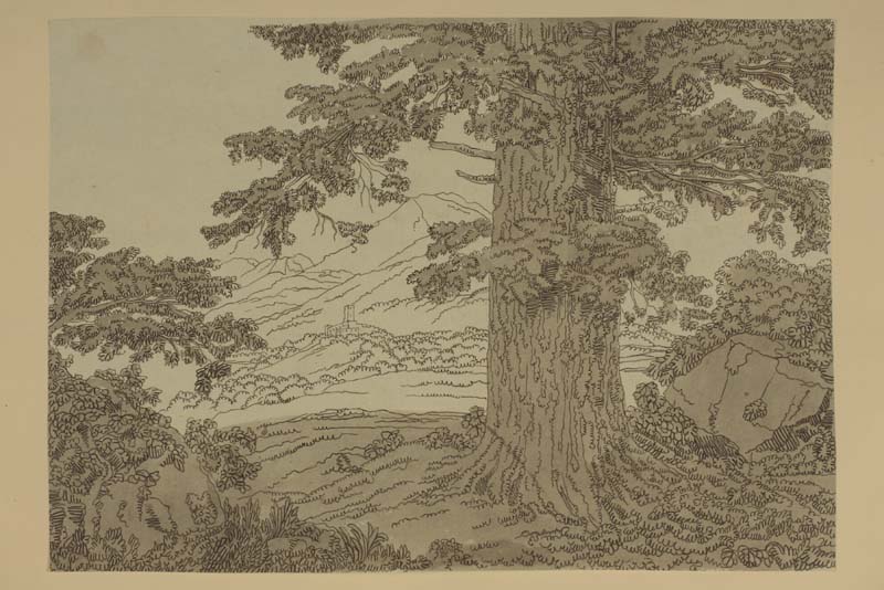 I progetti per Sant'Antonio nuovo a Trieste